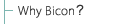 Why Bicon�H