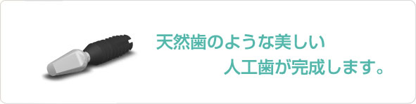 �V�R���̂悤�Ȕ������l�H�����������܂��B